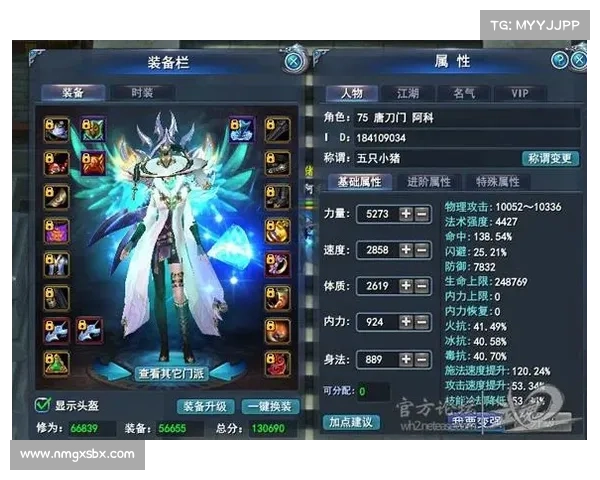 如何利用武魂玄冰加点策略实现最佳输出与防御平衡 如何利用武魂玄冰加点策略实现最佳输出与防御平衡